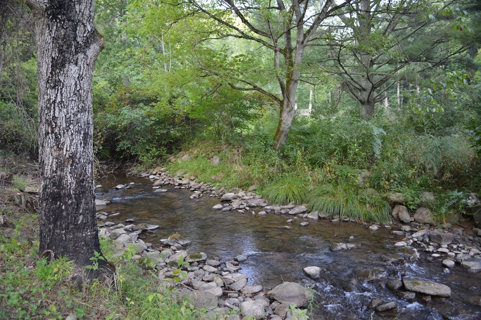 Cabin for Sale in Blue Ridge Mountains